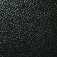 British Emerald Bronco Tolex