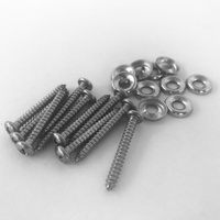 Nickel Cup Washer and Screw 10 Pack
