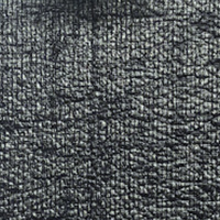 Pewter Trout Bronco Tolex