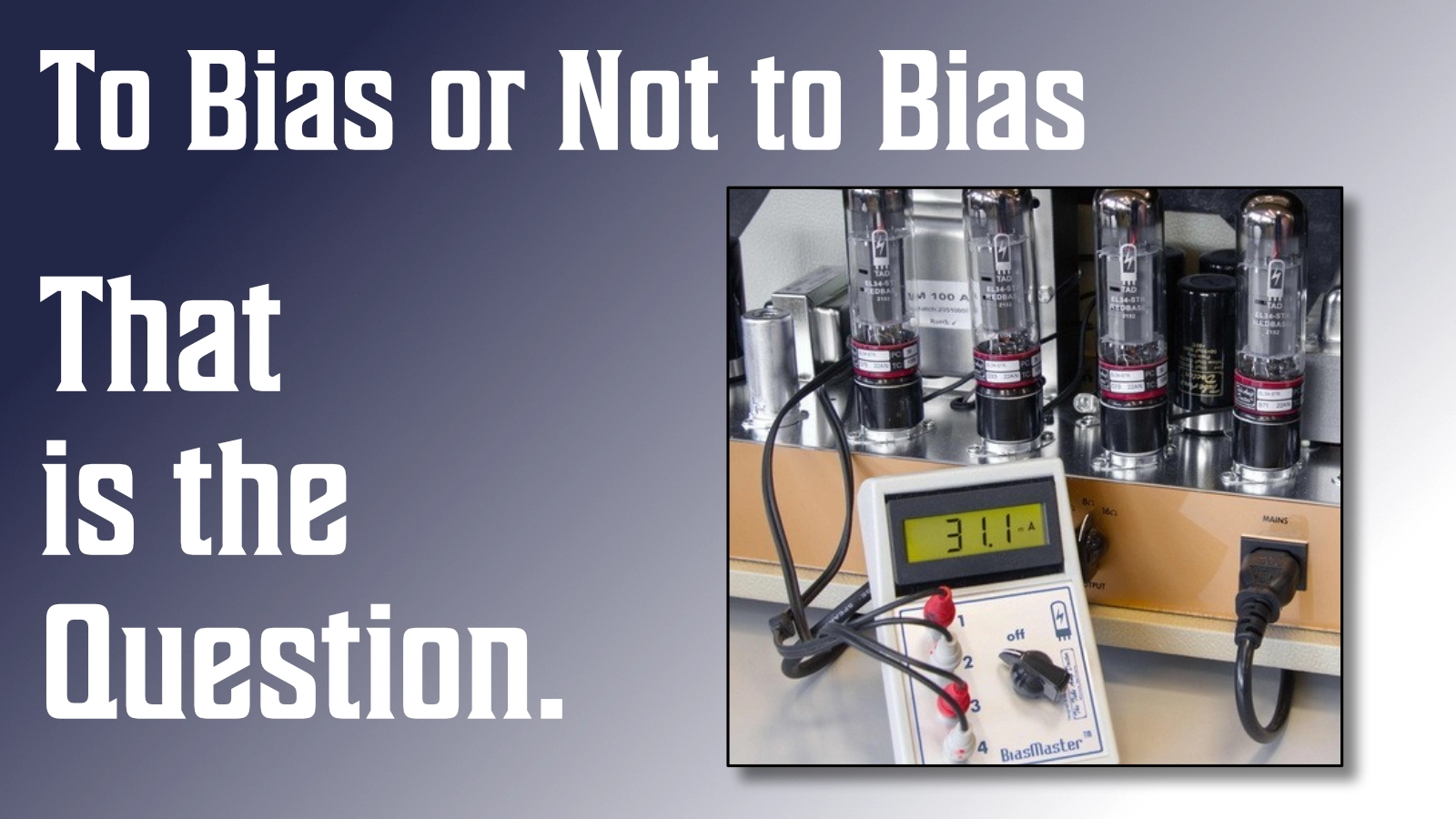 To Bias or Not to Bias image